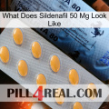 What Does Sildenafil 50 Mg Look Like 44